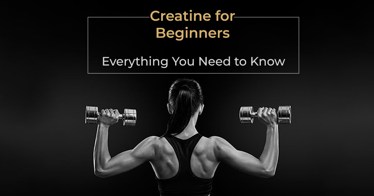 creatine for beginners